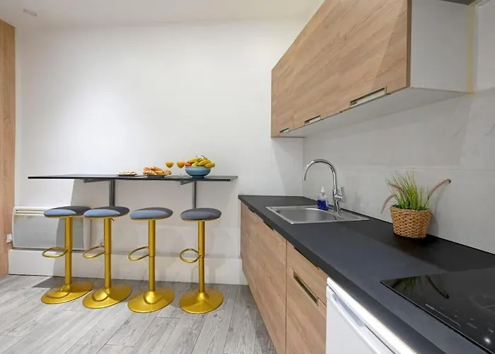 Appartement Modern Studio- Francois Mitterand Library